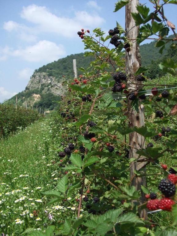 Agriturismo Cascina Rossano Provaglio d'Iseo Exterior foto